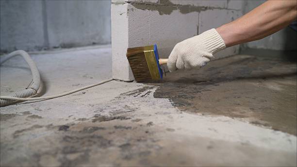 SJ Waterproofing Pros Waterproofing coverage map for Alexander, NY and surrounding area